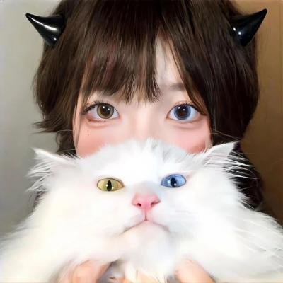 怪盗山猫